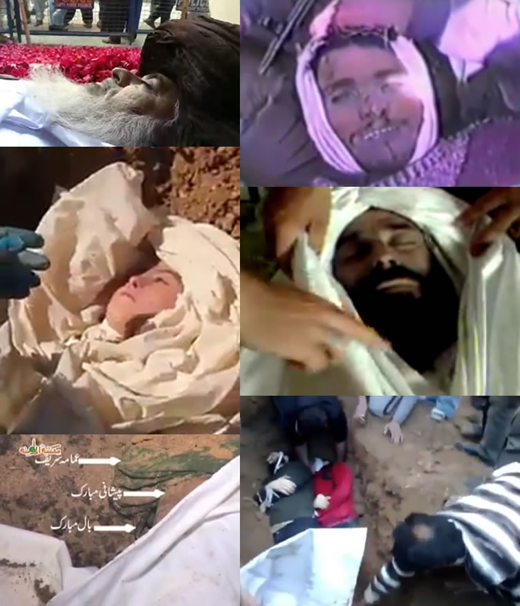 Fresh Dead Bodies of True Muslims